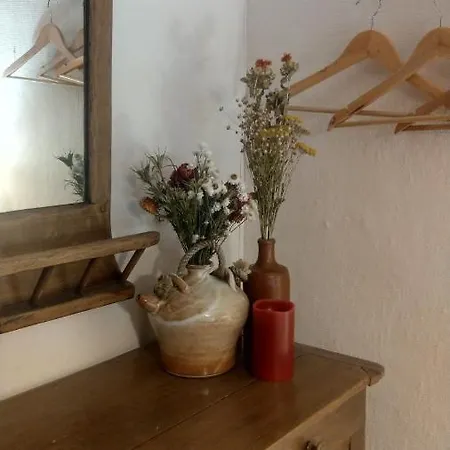 Le Moulin Des Valignards - D'hotes Frühstückspension Ebreuil
