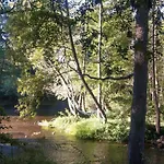 Le Moulin Des Valignards - D'hotes Ebreuil