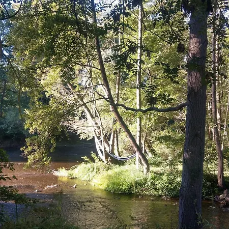 Le Moulin Des Valignards - D'hotes Ebreuil