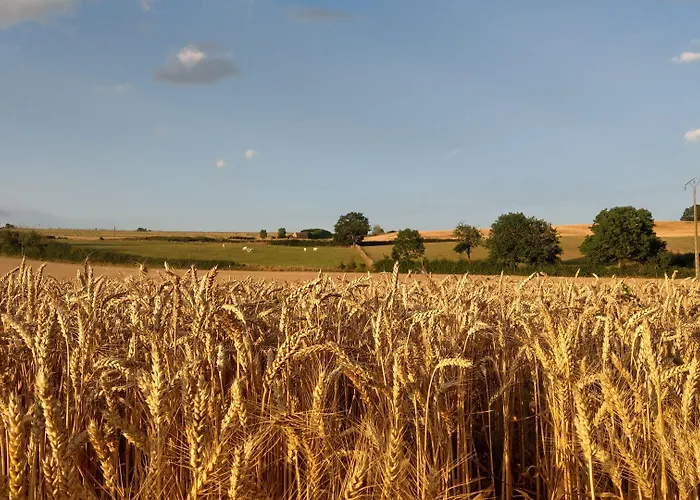 Le Moulin Des Valignards 3* Ebreuil