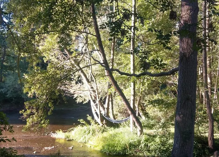Le Moulin Des Valignards Ebreuil